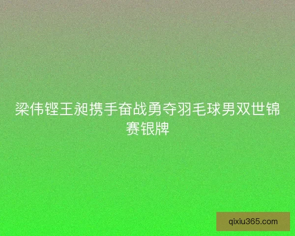 梁伟铿王昶携手奋战勇夺羽毛球男双世锦赛银牌