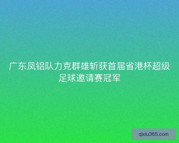 广东凤铝队力克群雄斩获首届省港杯超级足球邀请赛冠军 广东凤铝队力克群雄斩获首届省港杯超级足球邀请赛冠军